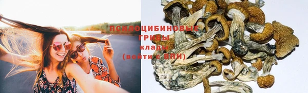 герыч Магас
