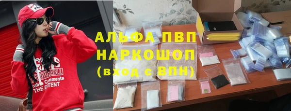 гашик Липки